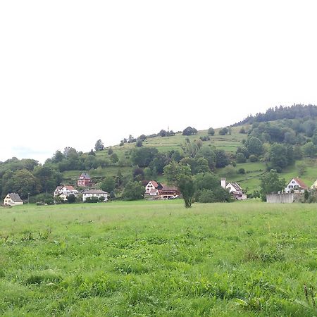 Les Studios Du Frankenthal Stosswihr Buitenkant foto