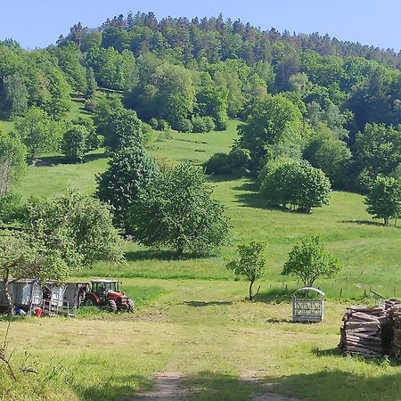 Les Studios Du Frankenthal Stosswihr Buitenkant foto