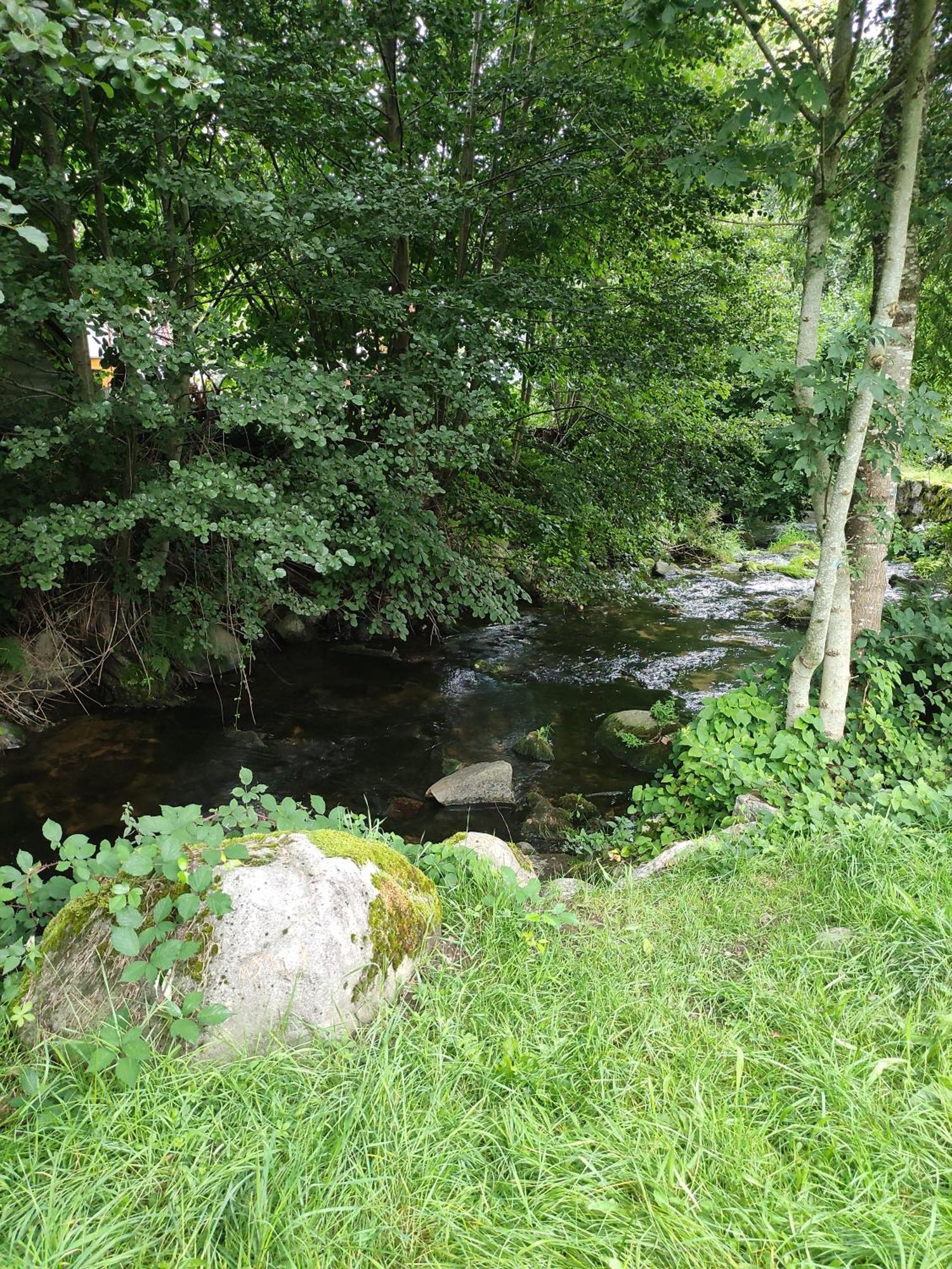 Les Studios Du Frankenthal Stosswihr Buitenkant foto