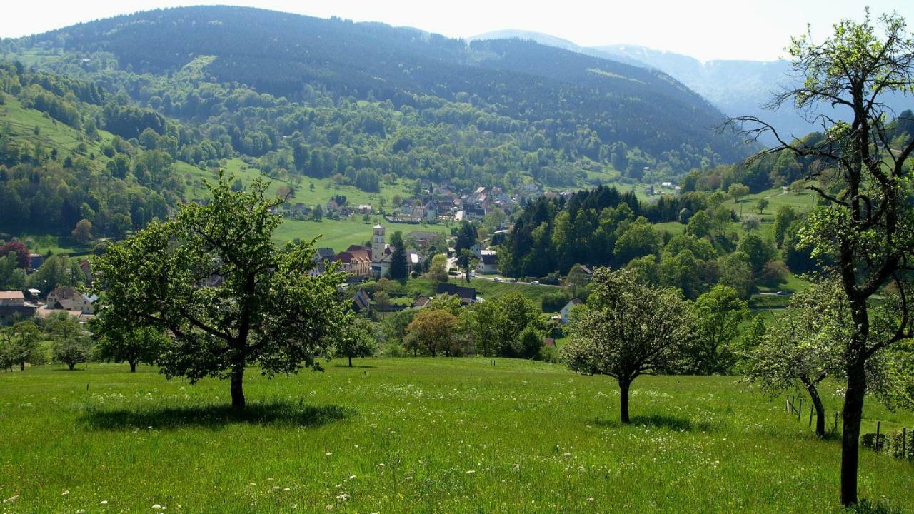 Les Studios Du Frankenthal Stosswihr Buitenkant foto